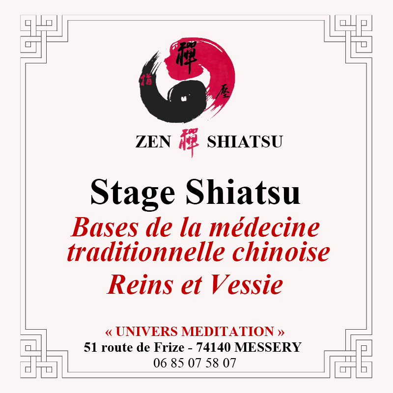 Stage Shiatsu 2024 - Les bases de la médecine traditionnelle chinoise - Reins et vessie