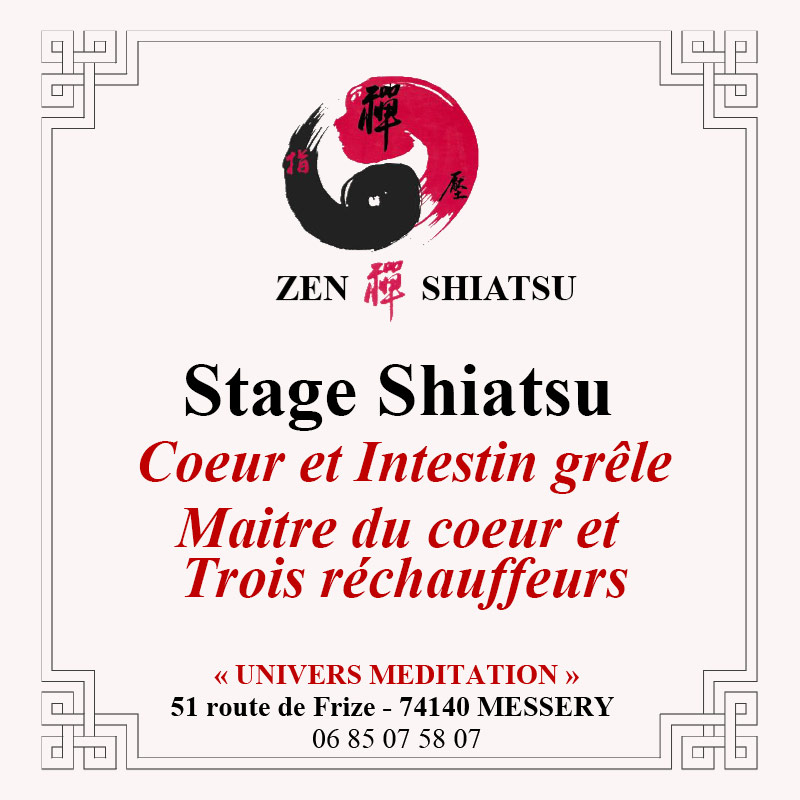 Stage Shiatsu 2024 - Coeur et intestin grêle - Maitre du coeur et trois réchauffeurs