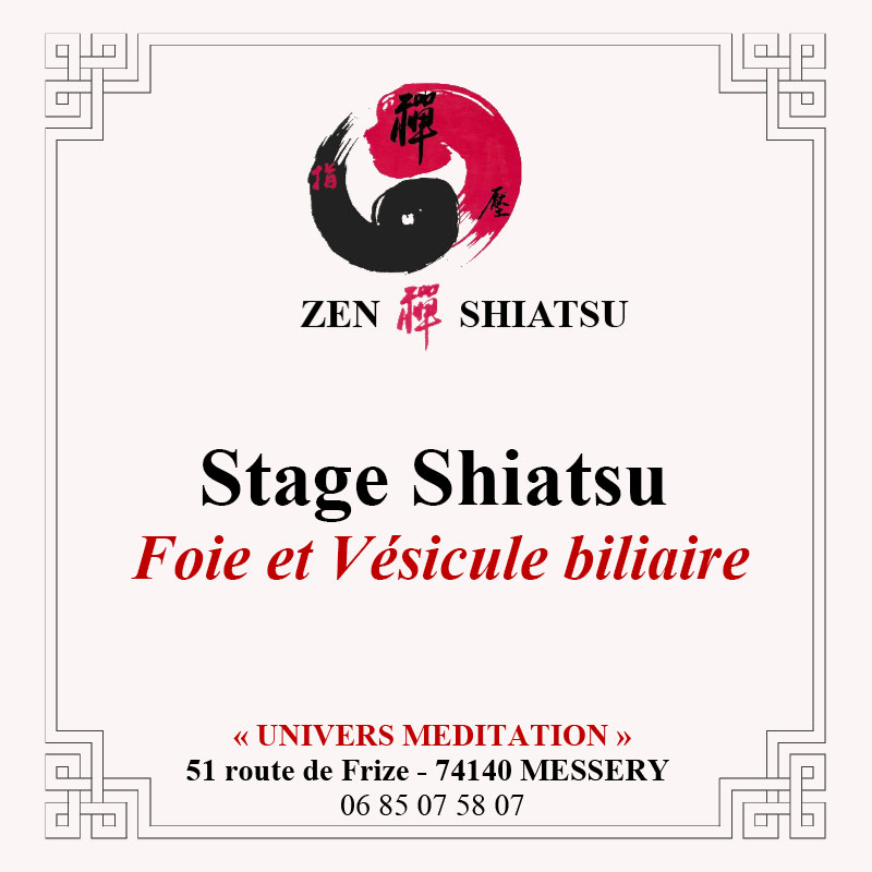 Stage Shiatsu 2024 - Foie et Vésicule biliaire